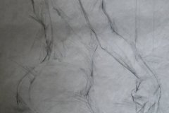 Disegni