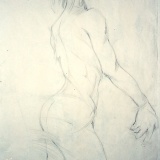 nudo-8