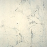 nudo-9